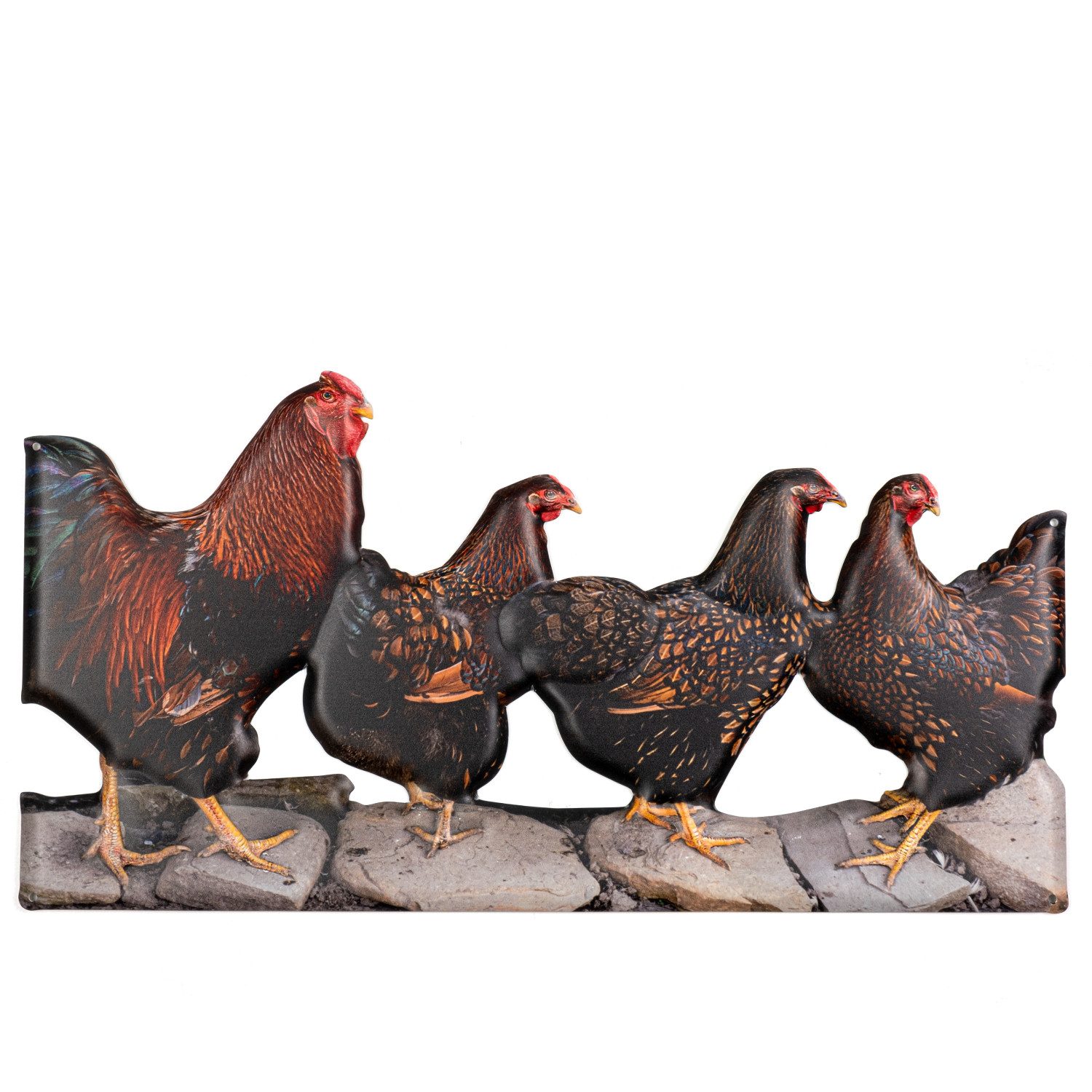 Metallschild Blechschild 49,5 x 25,5 cm 4 Hühner