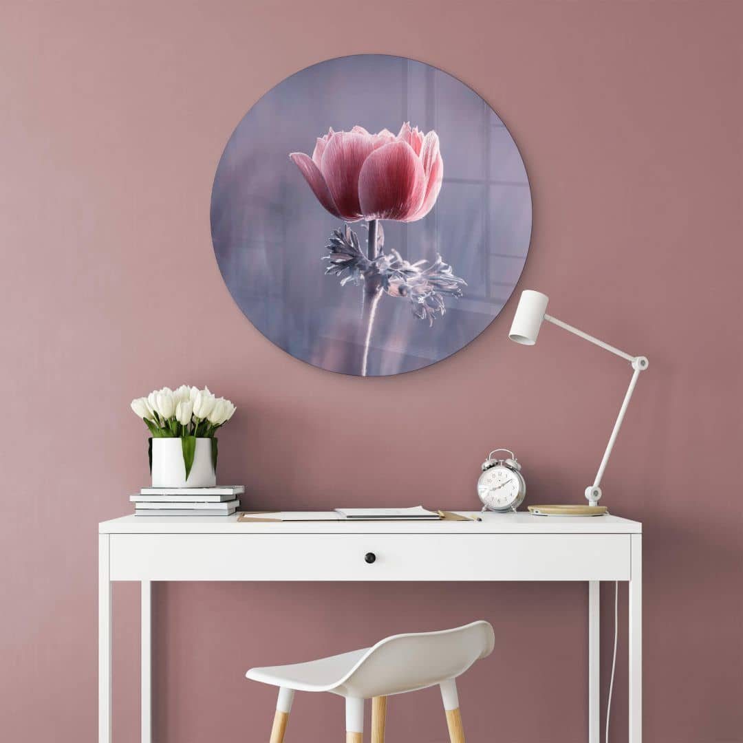 Botanik Bilder K&L Deko Gemälde floral Blume, rote Wandbild Wall Bravin Rund Glasbild Wandschutz Glas Art