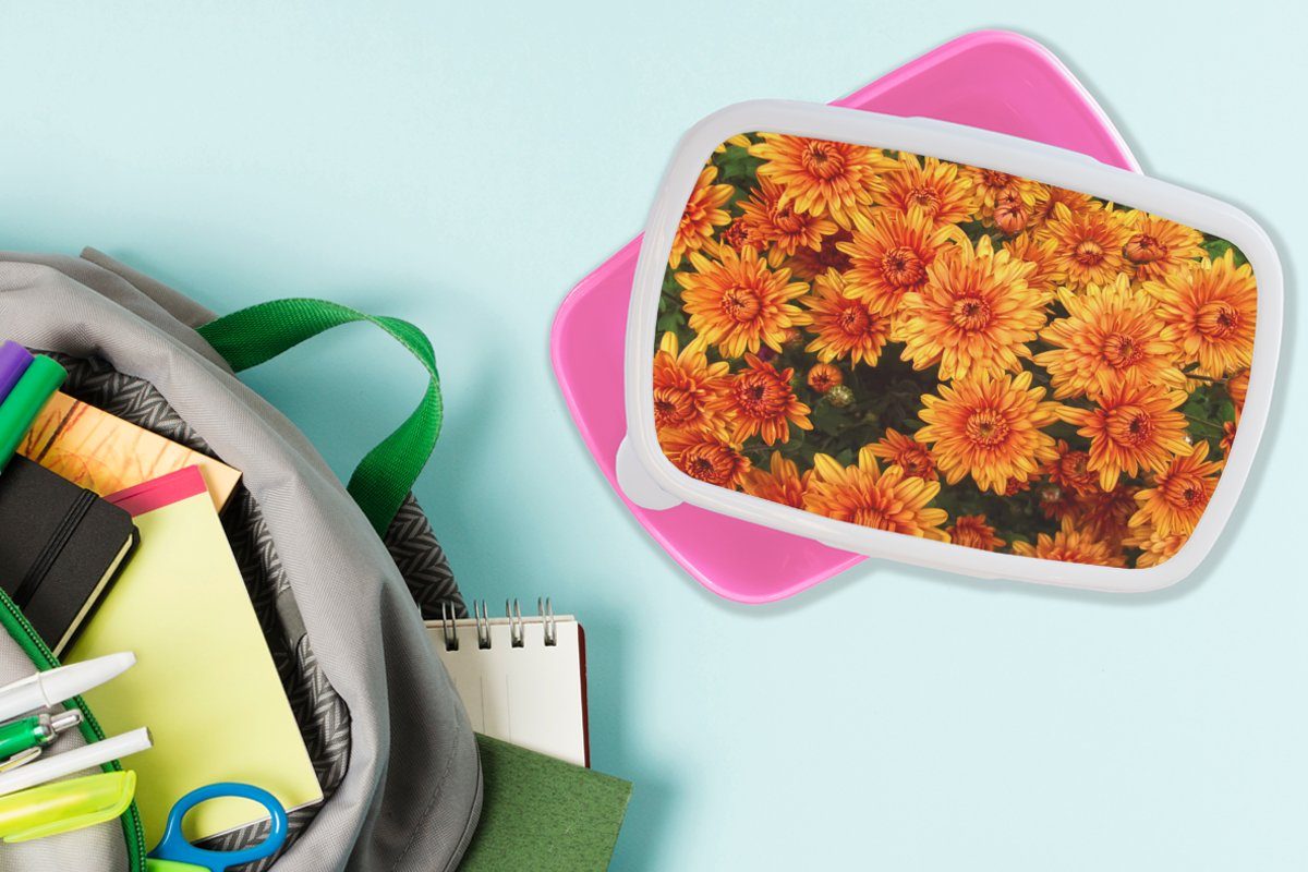 Kinder, für Brotbox Orange (2-tlg), Erwachsene, - rosa Mädchen, Kunststoff Brotdose Kunststoff, - Lunchbox Chrysantheme, MuchoWow Blumen Snackbox,