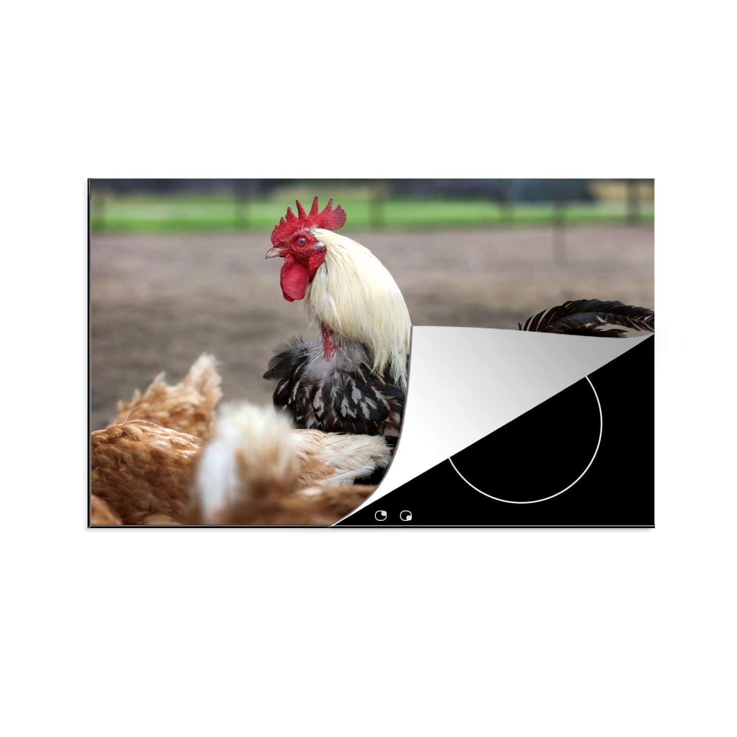 MuchoWow Herdblende-/Abdeckplatte Weißer Hahn unter den Hühnern, Vinyl, (1 tlg), 81x52 cm, Induktionskochfeld Schutz für die küche, Ceranfeldabdeckung