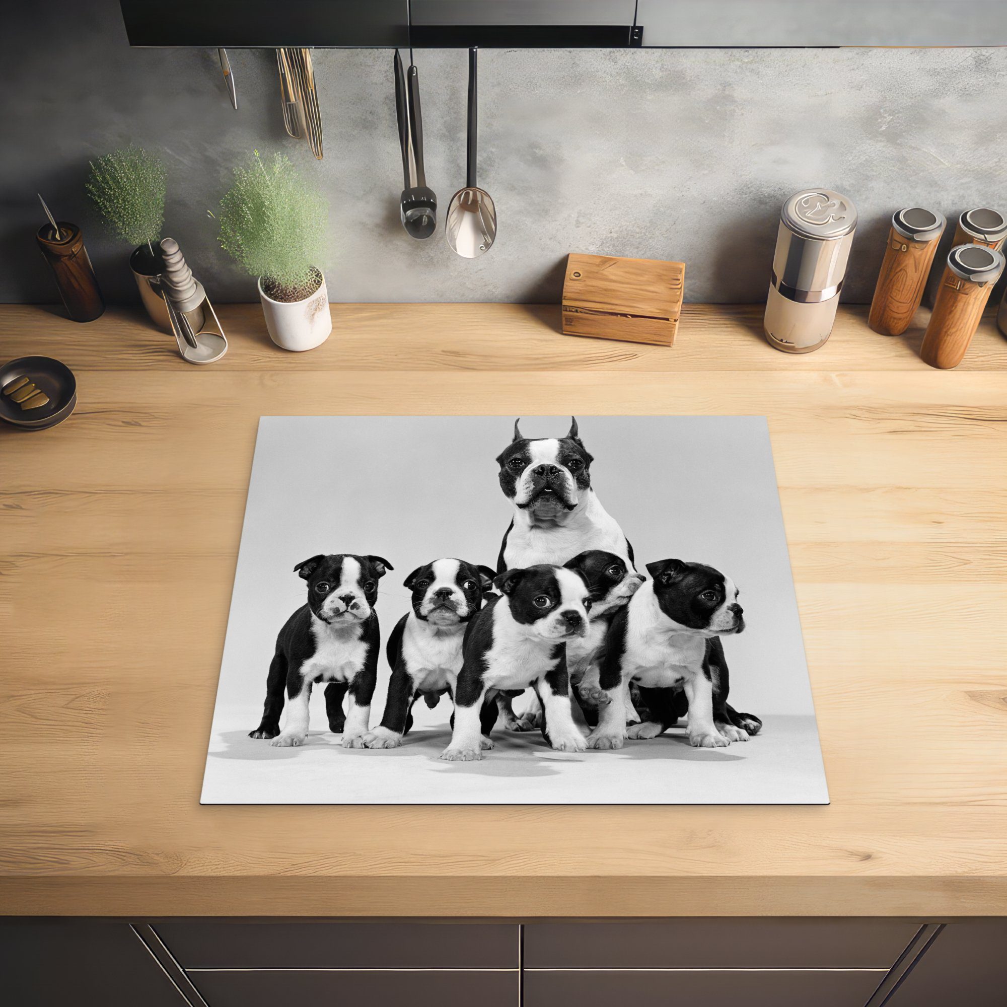 MuchoWow Herdblende-/Abdeckplatte Boston Terrier Schwarz Vinyl, Ceranfeldabdeckung cm, mit und nutzbar, Welpen Mobile in 60x52 tlg), Weiß, (1 Arbeitsfläche