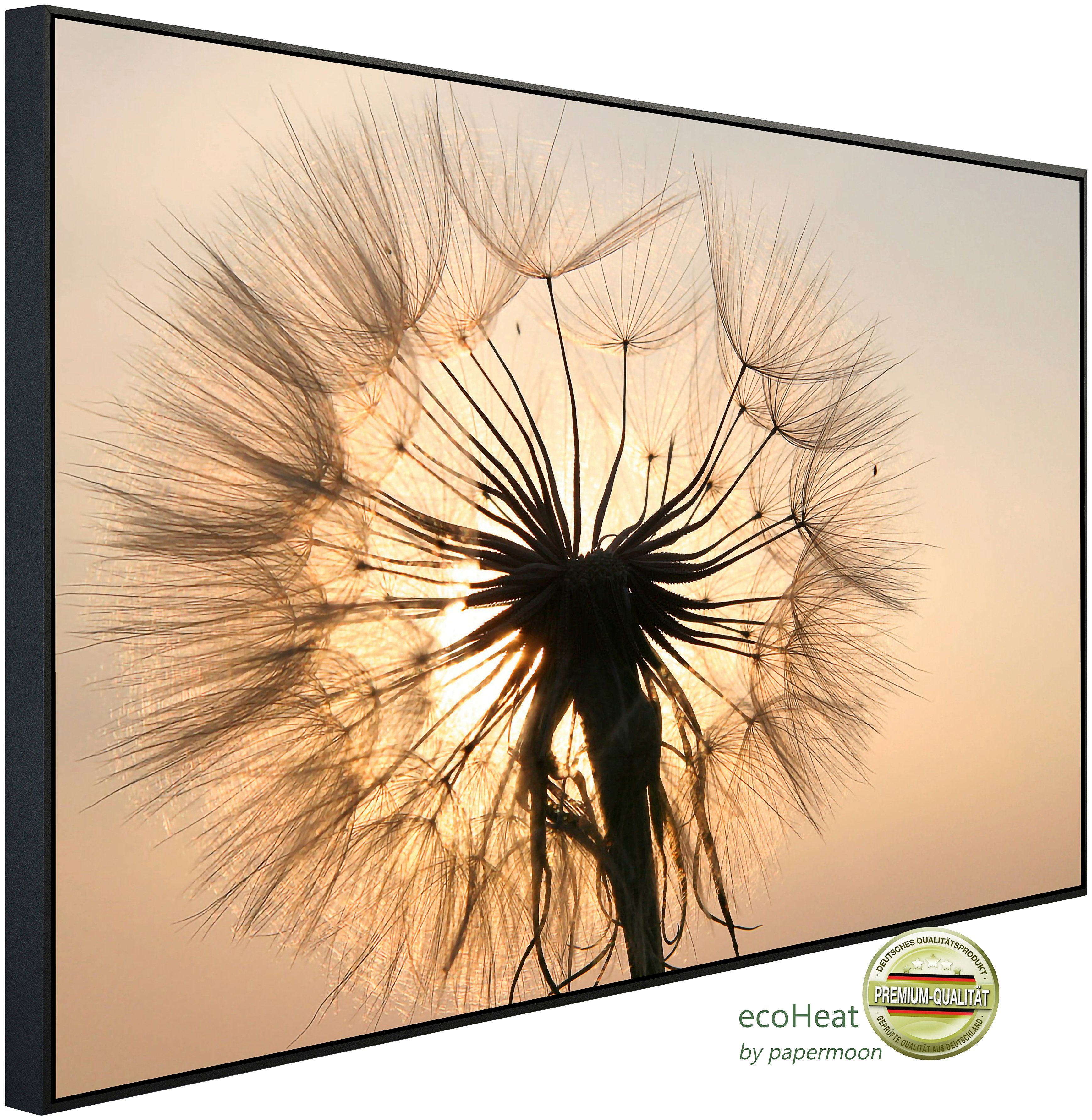 Infrarotheizung Pusteblume