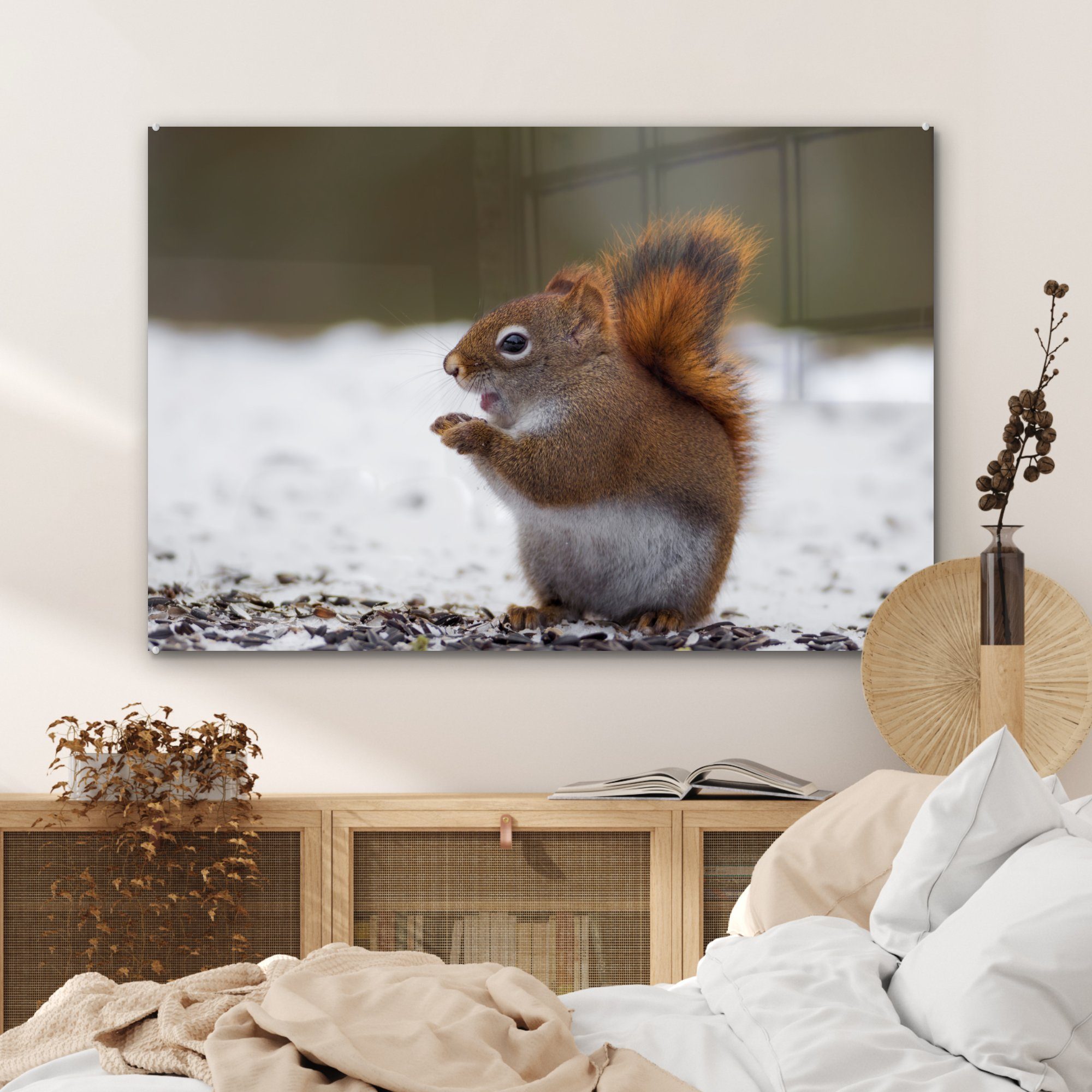Winter, Schnee - - Schlafzimmer Acrylglasbild Acrylglasbilder (1 Tier St), MuchoWow - & Eichhörnchen Wohnzimmer
