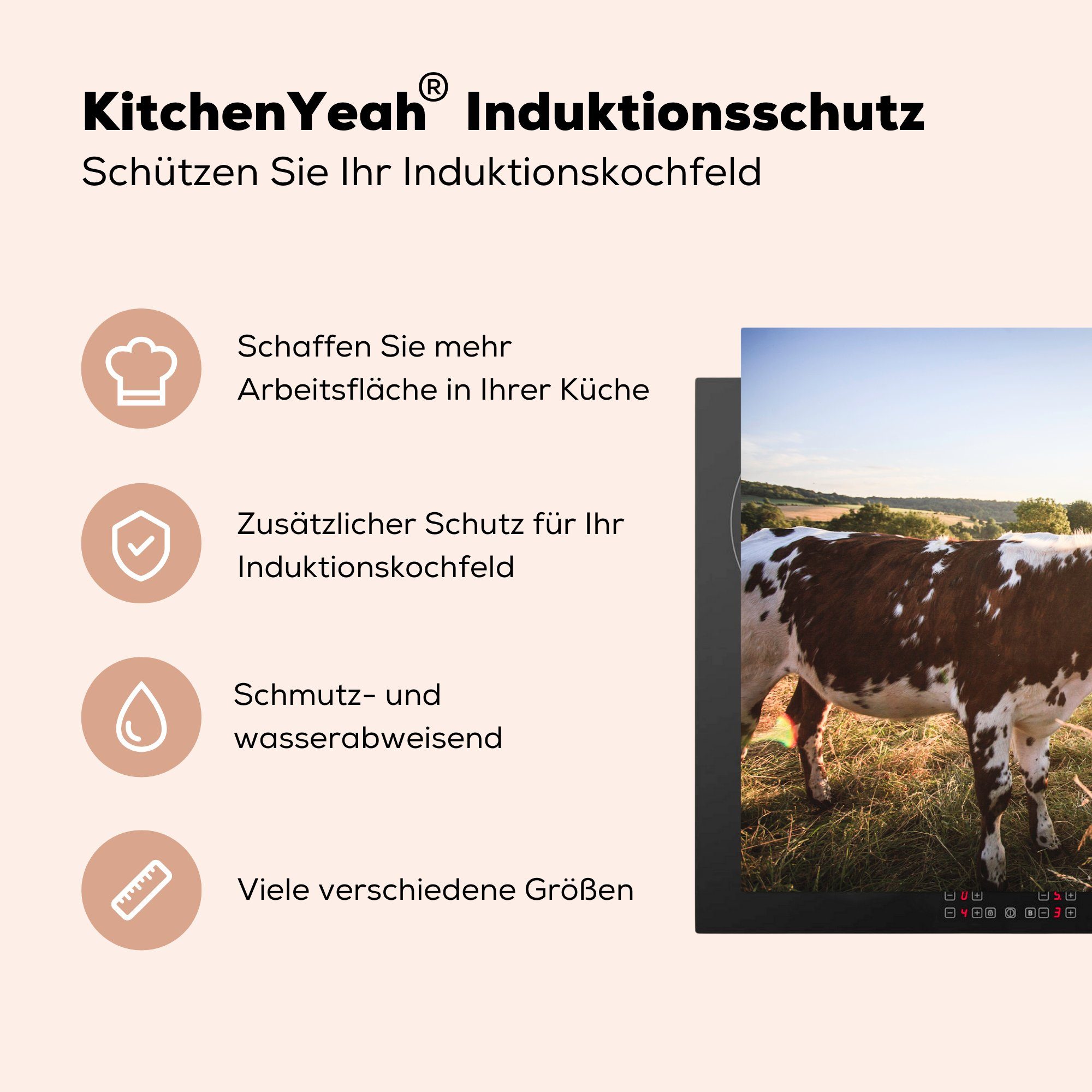 MuchoWow Herdblende-/Abdeckplatte Kühe in für (1 81x52 der Induktionskochfeld Normandie, küche, tlg), cm, Ceranfeldabdeckung Vinyl, die Schutz