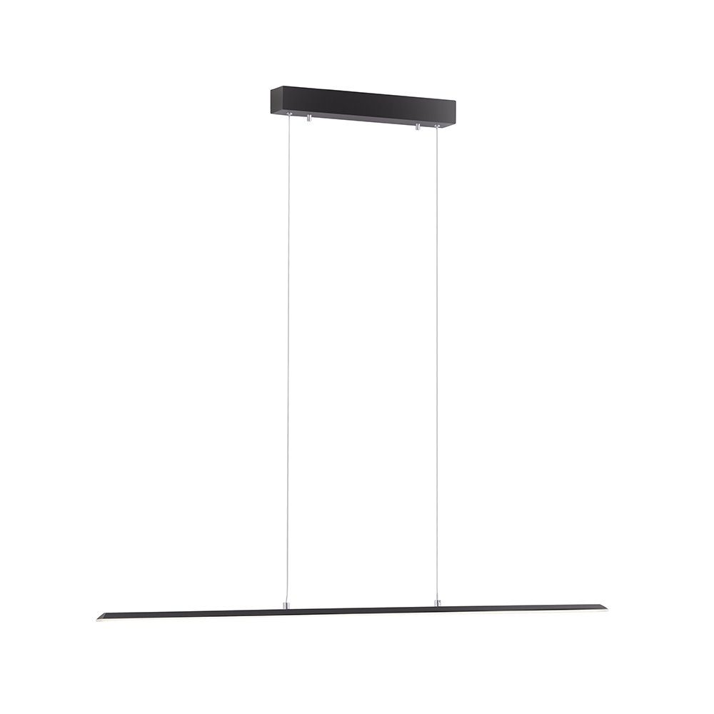 Paul Neuhaus LED Pendelleuchte LED Pendellampe günstig online kaufen