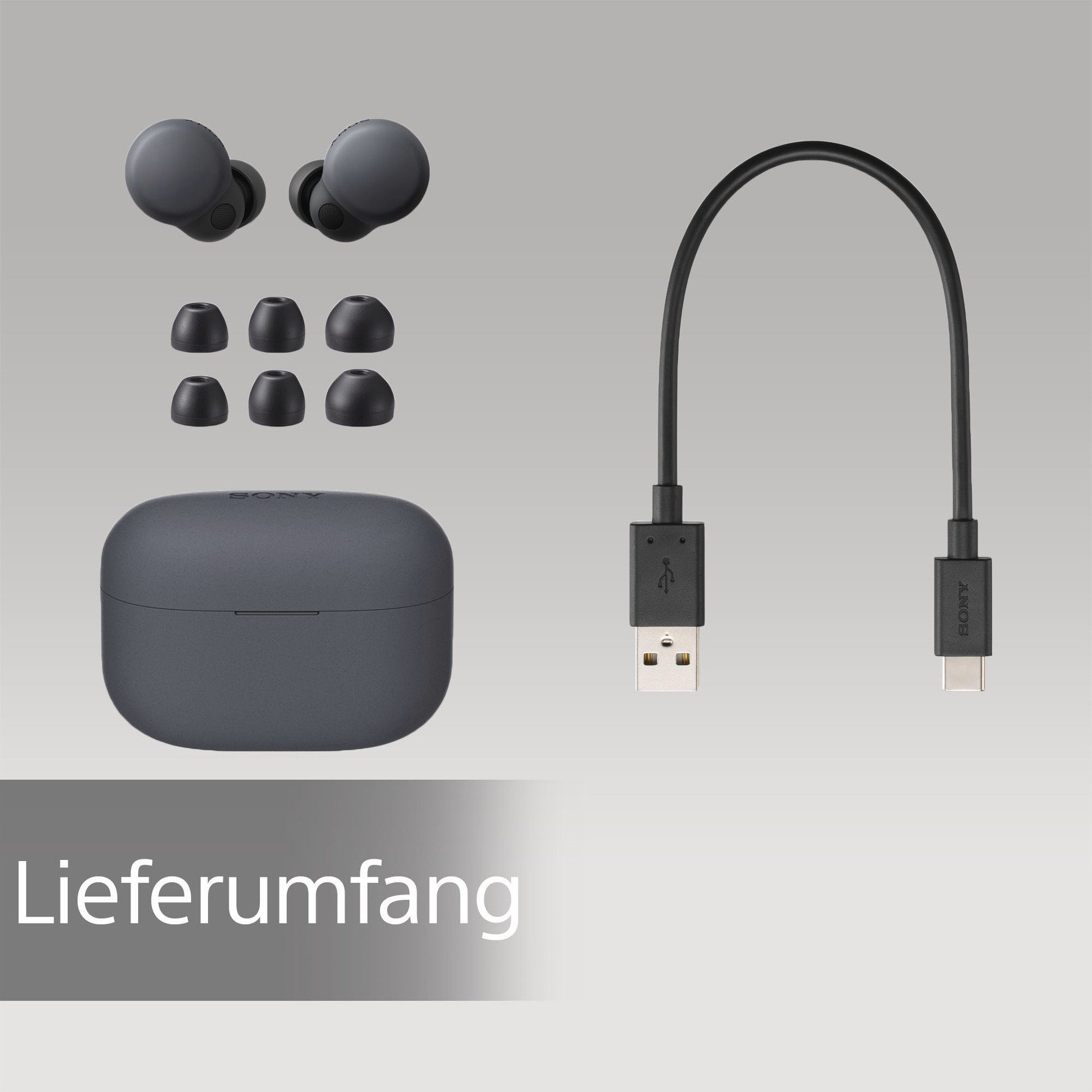 S Akkulaufzeit) True blau wireless Cancelling, Touch-Steuerung, (Noise-Cancelling, 20 st. Noise LinkBuds In-Ear-Kopfhörer Wireless, Bluetooth, NFC, Sony