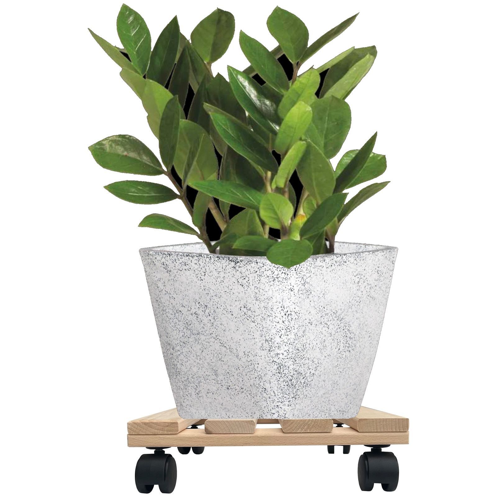 Hossi's Wholesale Pflanzenroller 2x Pflanzenroller Eckig 30cm 120 kg Blumentopf Untersetzer Rollbrett