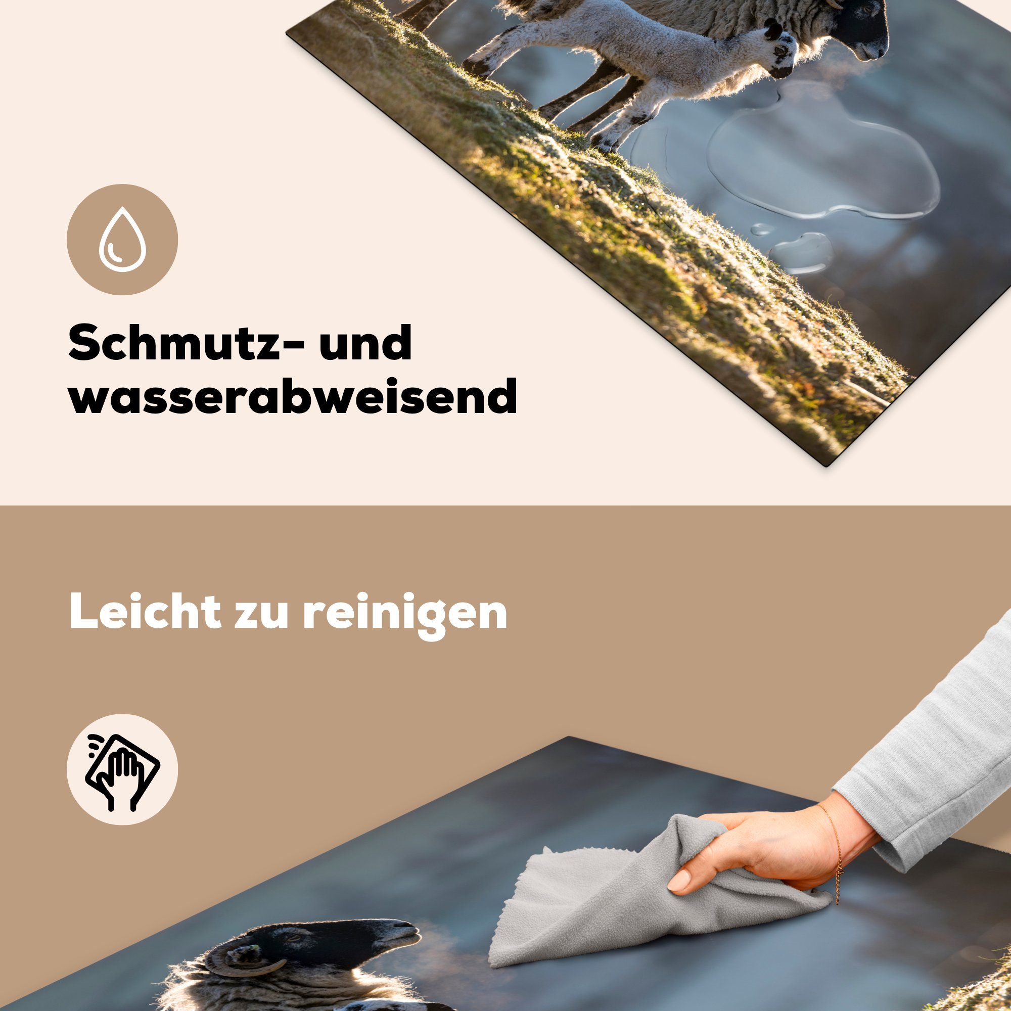 cm, Sonne, die - Vinyl, Induktionskochfeld (1 81x52 Schutz tlg), Herdblende-/Abdeckplatte MuchoWow küche, - für Schaf Lamm Ceranfeldabdeckung