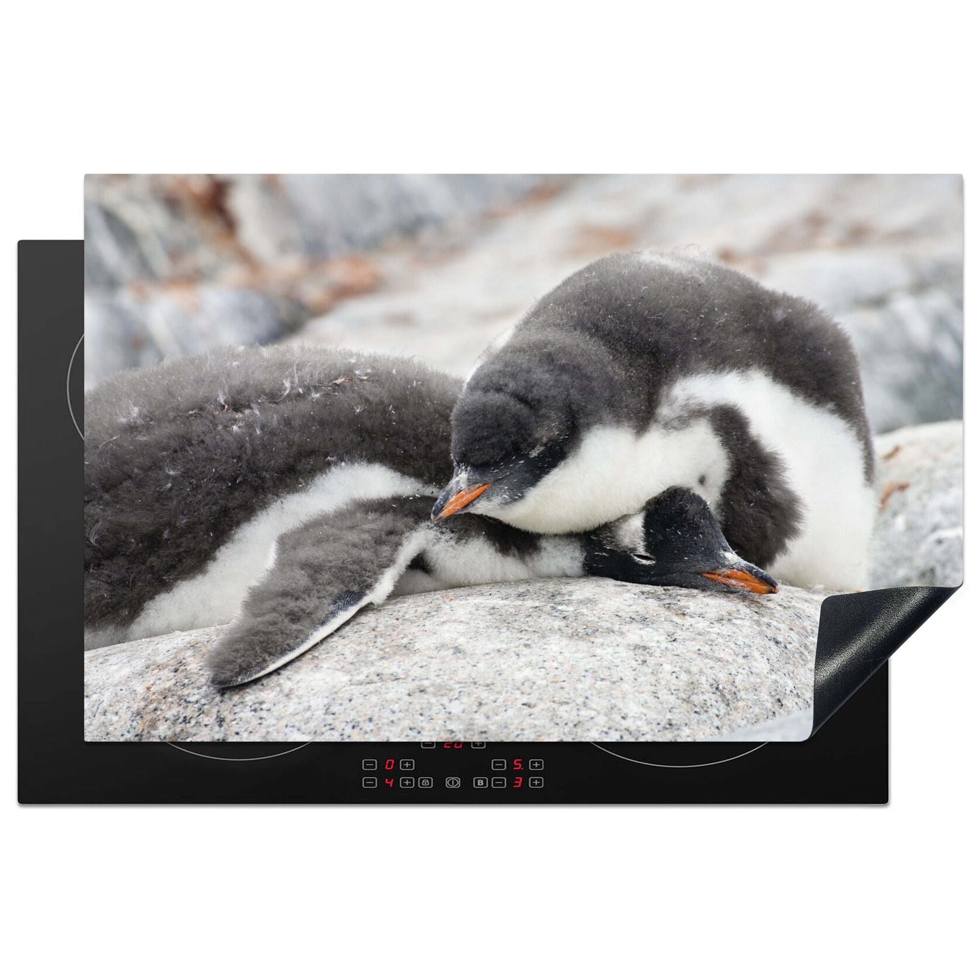 MuchoWow Herdblende-/Abdeckplatte Schlafende Pinguine, Vinyl, (1 tlg), 81x52 cm, Induktionskochfeld Schutz für die küche, Ceranfeldabdeckung | Herdabdeckplatten