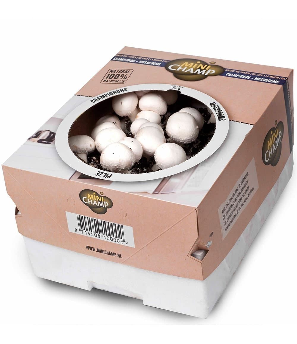 BALDUR Garten Gemüsepflanze Weiße Edel-Champignons (Kulturset), 1 St., Pilzzuchtset, essbar, ertragreich, winterhart, mehrjährig