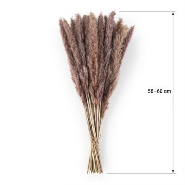 Kunstpflanze getrocknet - Trockenblumen, Ideales Dekoelement Pampasgras, Blumtal, Höhe 58 cm, 30, 50 oder 100 Stück