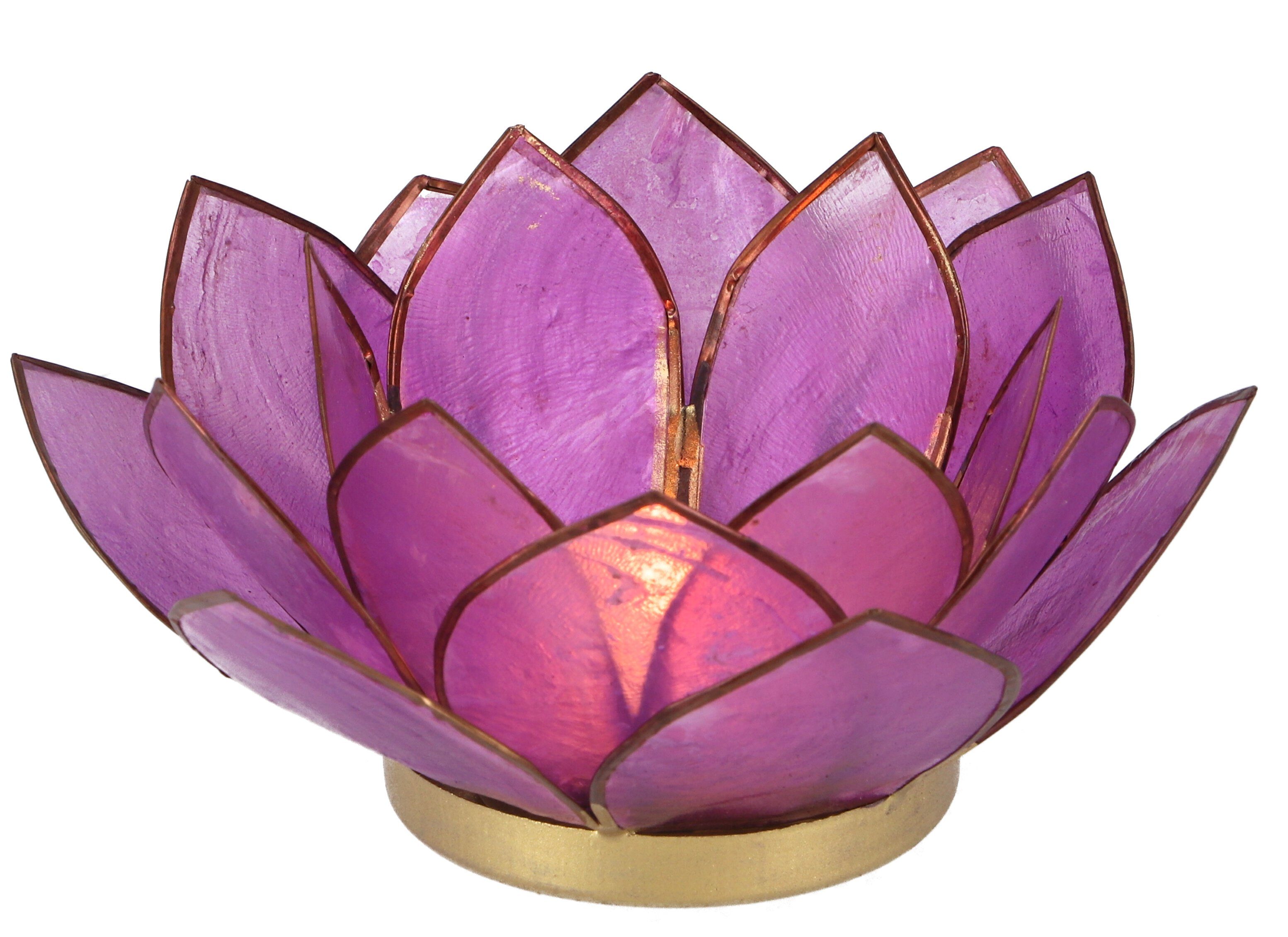 dunkel-lila Muschel Teelicht Lotus cm 14*6 - Guru-Shop Windlicht