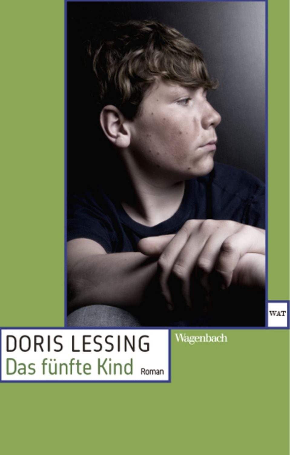 Das fünfte Kind / Doris Lessing