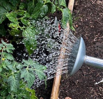 BURI Pflanzkübel Gießkanne 10 L Zinkgießkanne farbig Blumengießkanne Metallkanne Deko