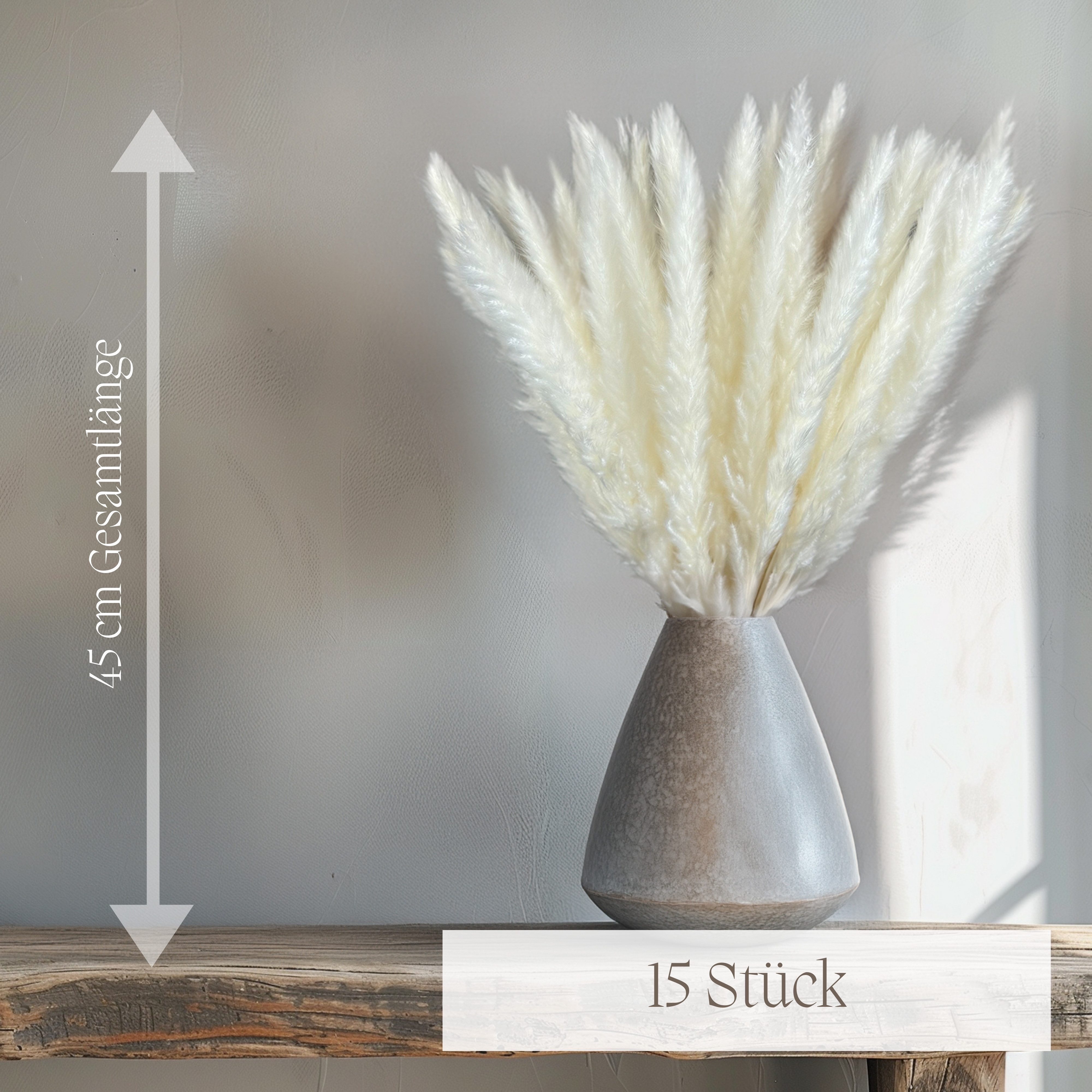 Trockenblume Trockenblume Pampasgras Deko weiß 50cm lang 15 St Pampasgras, günstig online kaufen