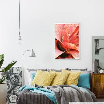 Sinus Art Poster 60x90cm Naturfotografie Poster Nahaufnahme einer roten Pflanze
