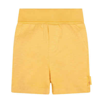 Steiff Shorts Shorts Venice Beach