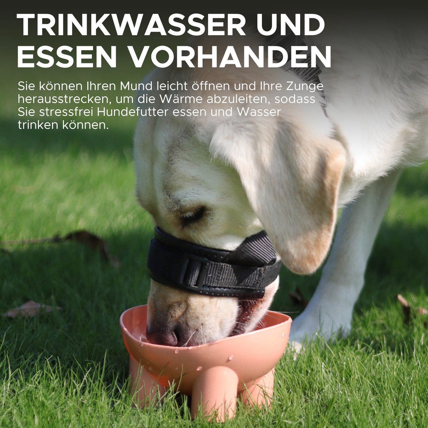 Refttenw Maulkorb Hund Maulkorb mit Kopfriemen, Verstellbare Schlaufe -Schwarz