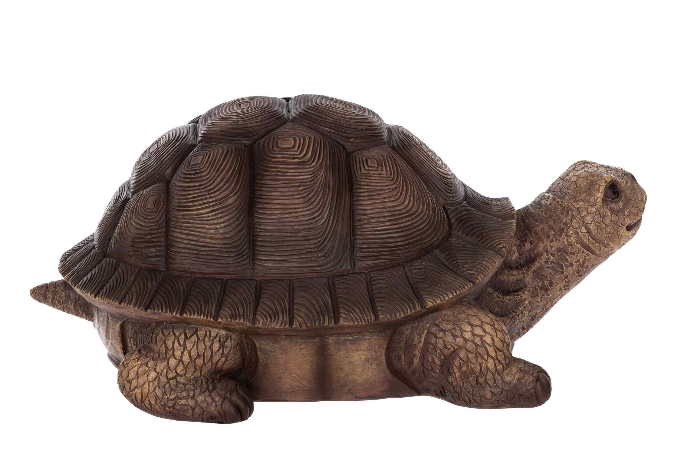 BIRENDY Dekofigur Birendy Schildkröte Zwerg Gartenzwerg günstig online kaufen