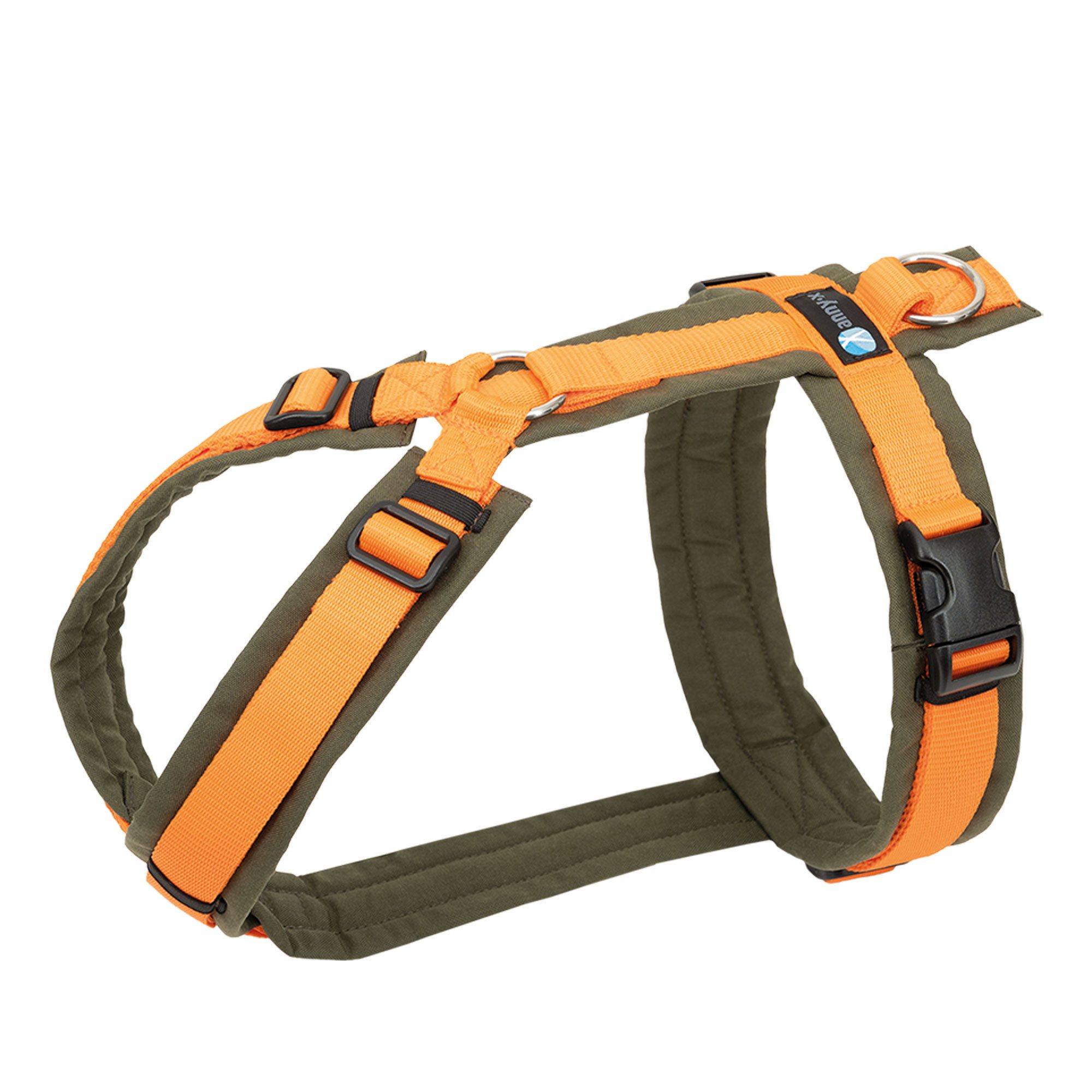 AnnyX Hunde-Geschirr Brustgeschirr Fun - gepolstert günstig online kaufen