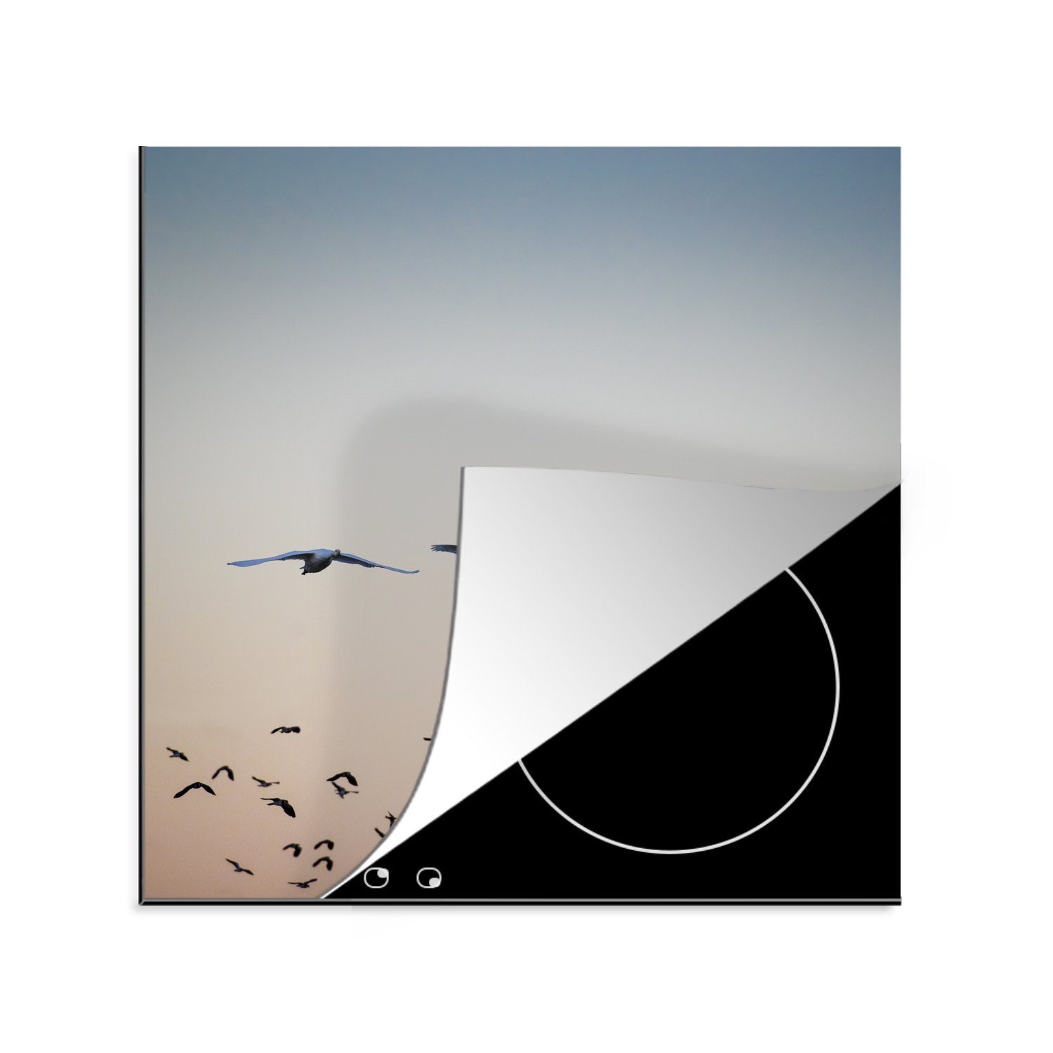 (1 - Ceranfeldabdeckung, Schwan 78x78 Arbeitsplatte Vinyl, - Herdblende-/Abdeckplatte für küche MuchoWow tlg), Sonnenuntergang, Vogel cm,