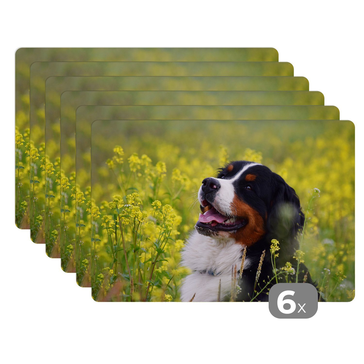 Platzset, Ein Berner Sennenhund zwischen gelben Blumen, MuchoWow, (6-St), Platzset, Platzdecken, Platzmatte, Tischmatten, Schmutzabweisend