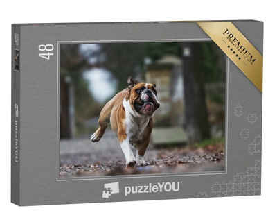 puzzleYOU Puzzle Lustige Bulldogge in vollem Lauf, 48 Puzzleteile, puzzleYOU-Kollektionen Tiere