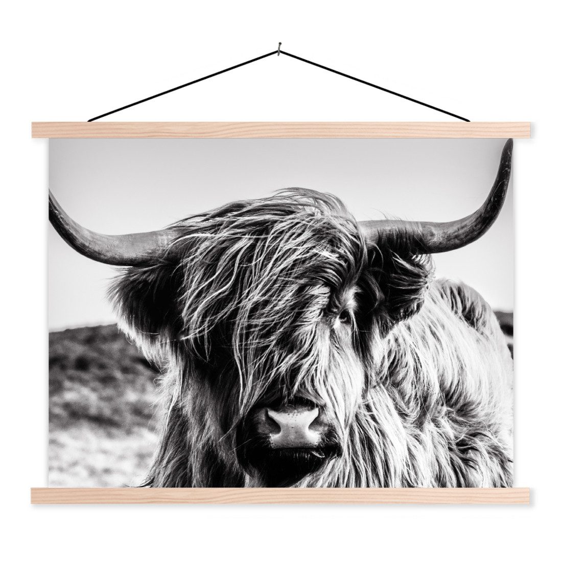 Poster Kuh - Schottischer Hochländer - Schwarz - Weiß - Tier - Natur - Wildti