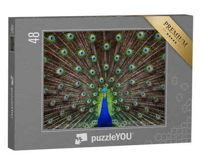 puzzleYOU Puzzle Porträt eines Pfaus mit ausgefahrenen Federn, 48 Puzzleteile, puzzleYOU-Kollektionen Pfauen, Tiere in Dschungel & Regenwald
