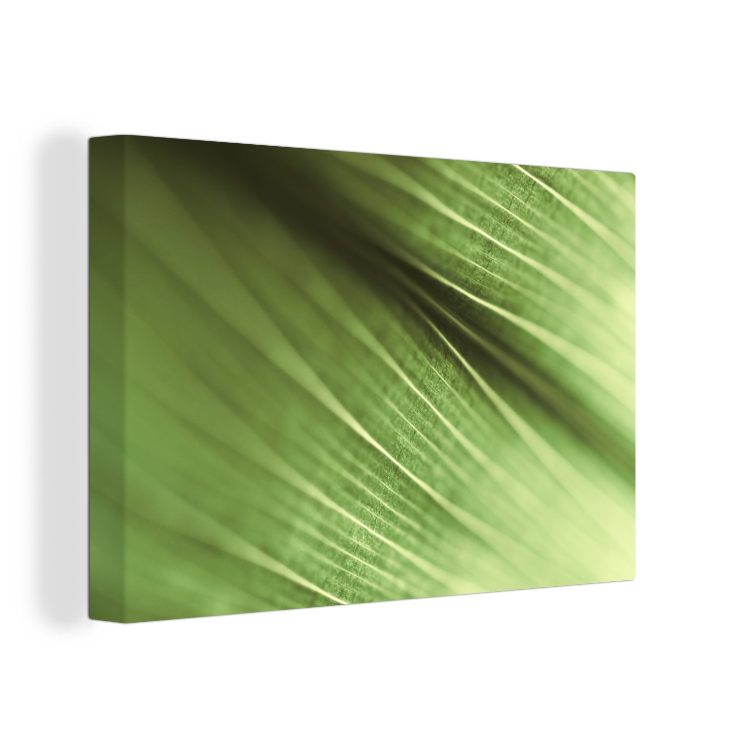 OneMillionCanvasses® Leinwandbild Makroaufnahme eines grünen botanischen Blattes, (1 St), Wandbild Leinwandbilder, Aufhängefertig, Wanddeko, 30x20 cm
