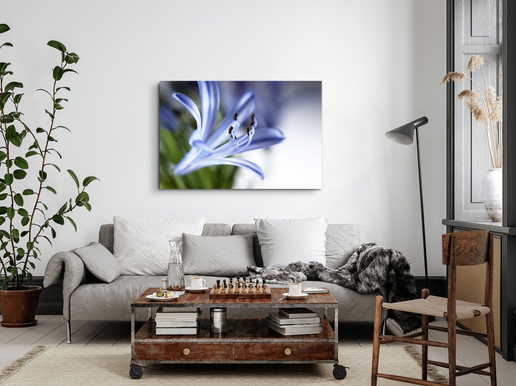 Sinus Art Leinwandbild 120x80cm Wandbild auf Leinwand Blume Blüte Nahaufnahme Blau Kunstvoll, (1 St)