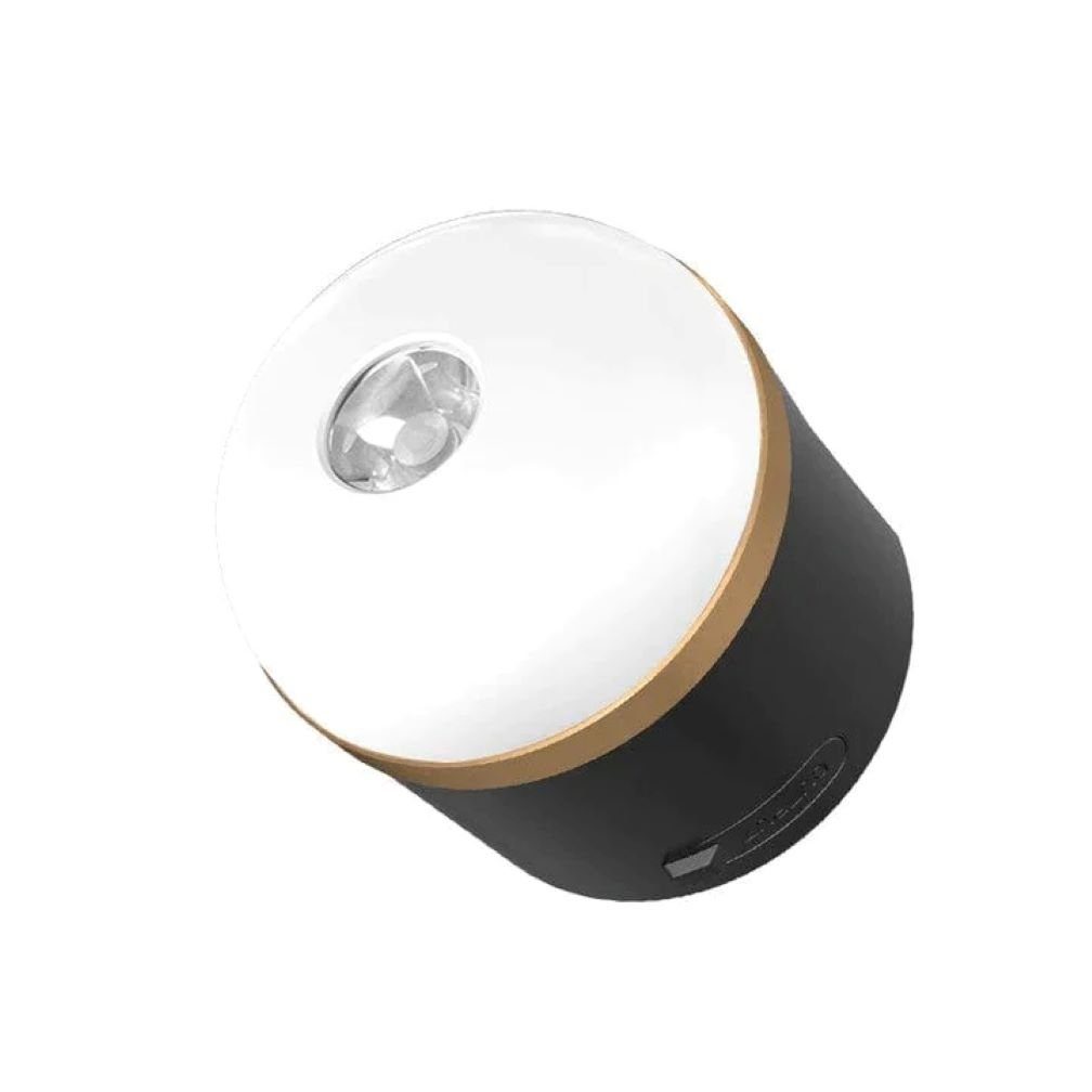 Ecoflow Gartenleuchte EcoFlow Campinglampe, Ein/Ausschalter, Dimmung, günstig online kaufen
