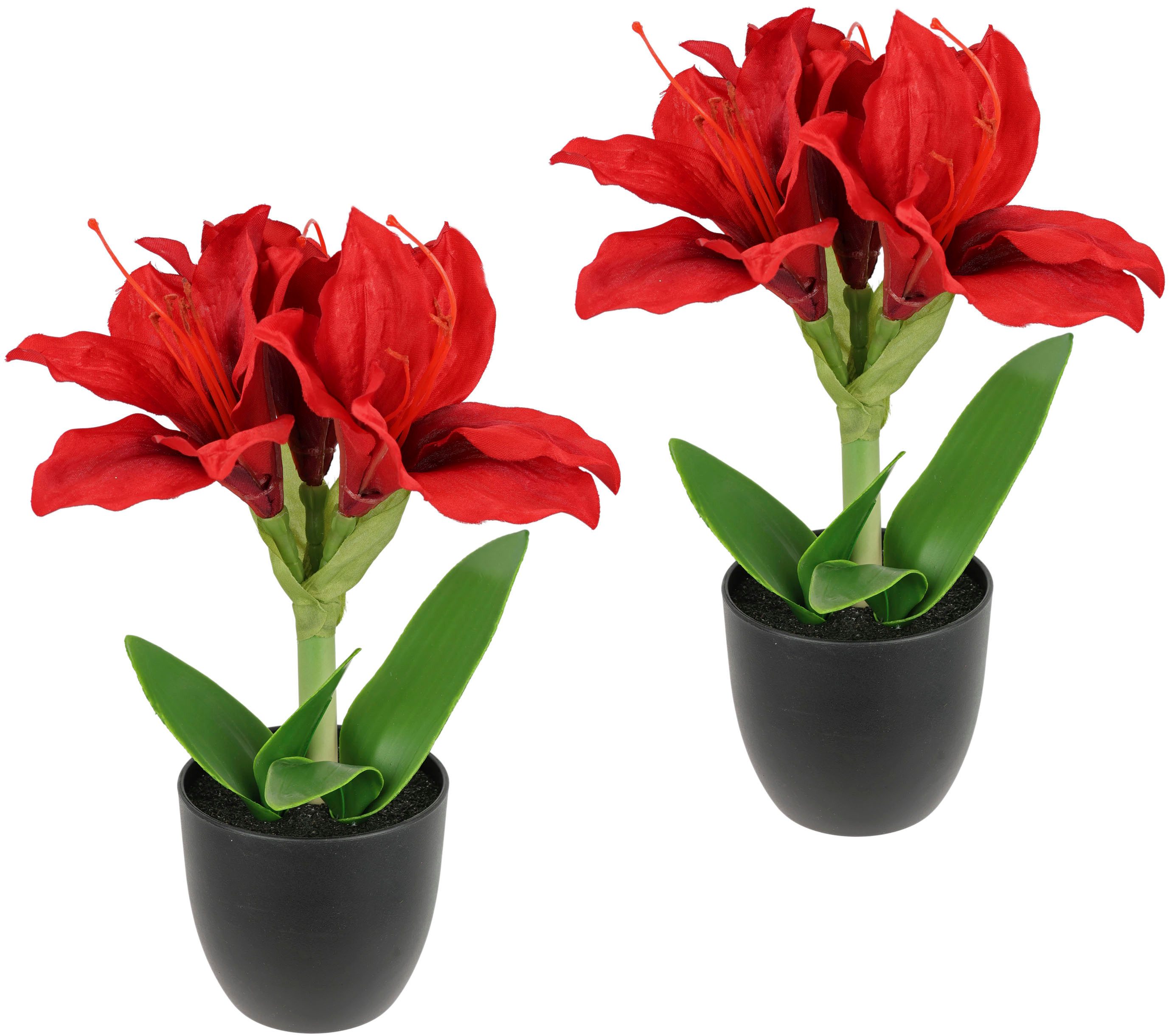Kunstblume Amaryllis im Topf, I.GE.A., Höhe 28 cm günstig online kaufen