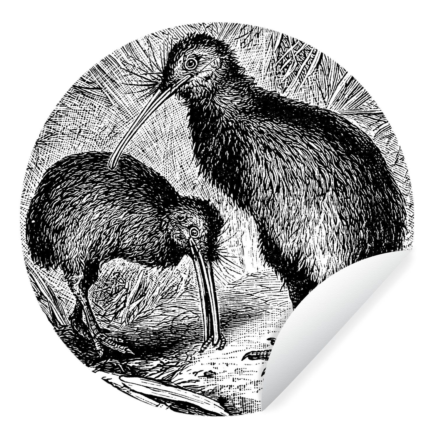 MuchoWow Wandsticker Schwarz-Weiß-Illustration von zwei Kiwi-Vögeln (1 St), Tapetenkreis für Kinderzimmer, Tapetenaufkleber, Rund, Wohnzimmer