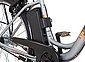 Prophete E-Bike »Geniesser pro«, 7 Gang Shimano Nexus Schaltwerk, Nabenschaltung, Mittelmotor 250 W, Bild 2
