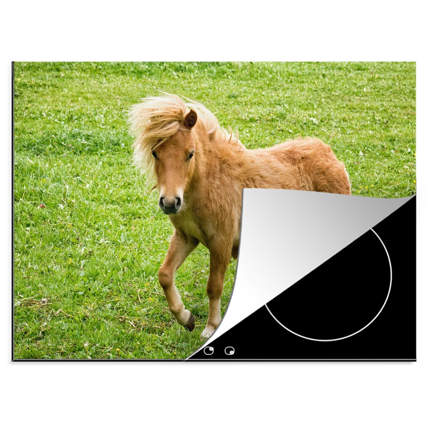 MuchoWow Herdblende-/Abdeckplatte Pony in den Niederlanden, Vinyl, (1 tlg), 70x52 cm, Mobile Arbeitsfläche nutzbar, Ceranfeldabdeckung | Herdabdeckplatten