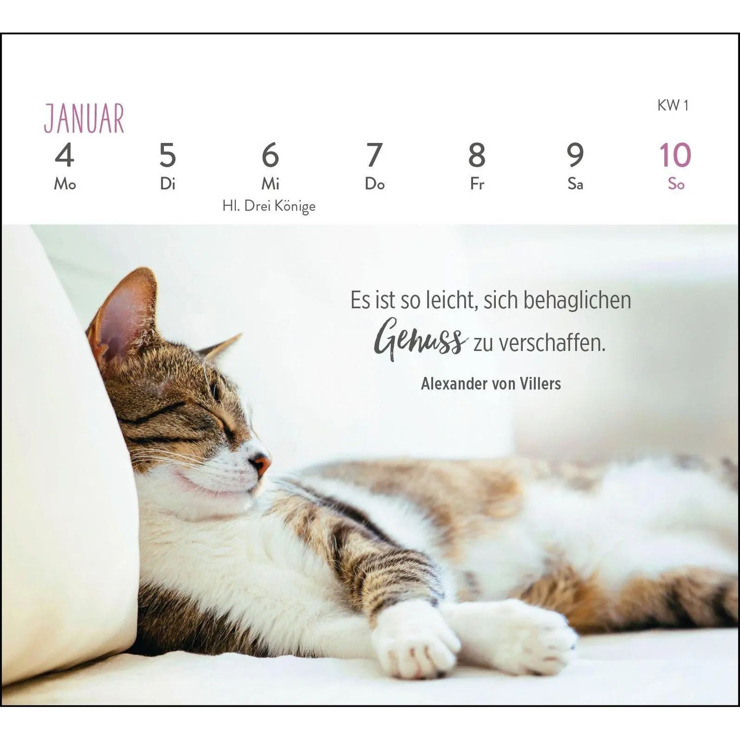 groh Verlag Schreibtischkalender Mini-Wochenkalender 2027: Für Katzenfreunde