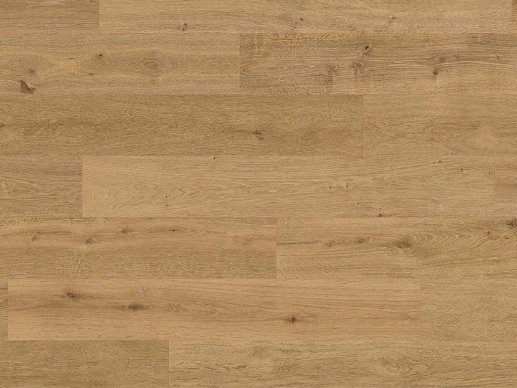 EGGER Kork Korkboden HOME COMFORT Clermont Eiche natur EHC030