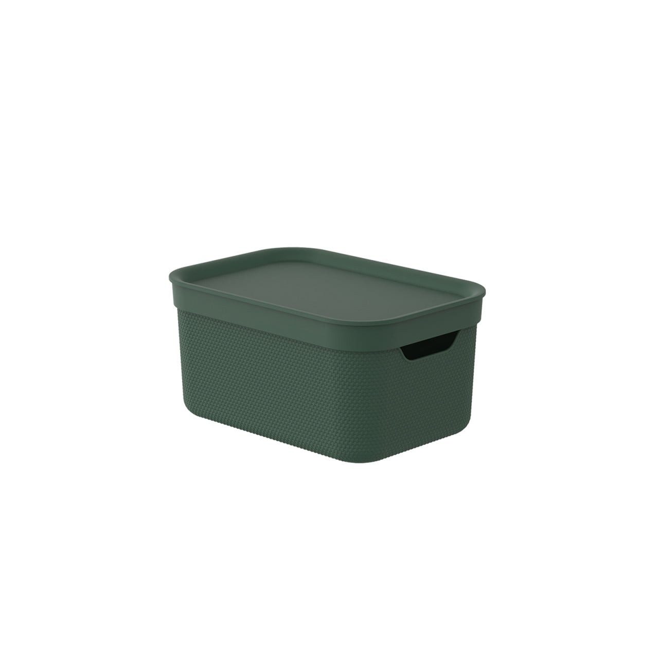 ROTHO Aufbewahrungsbox Rotho Aufbewahrungsbox Alvra mit Deckel 26,5 x