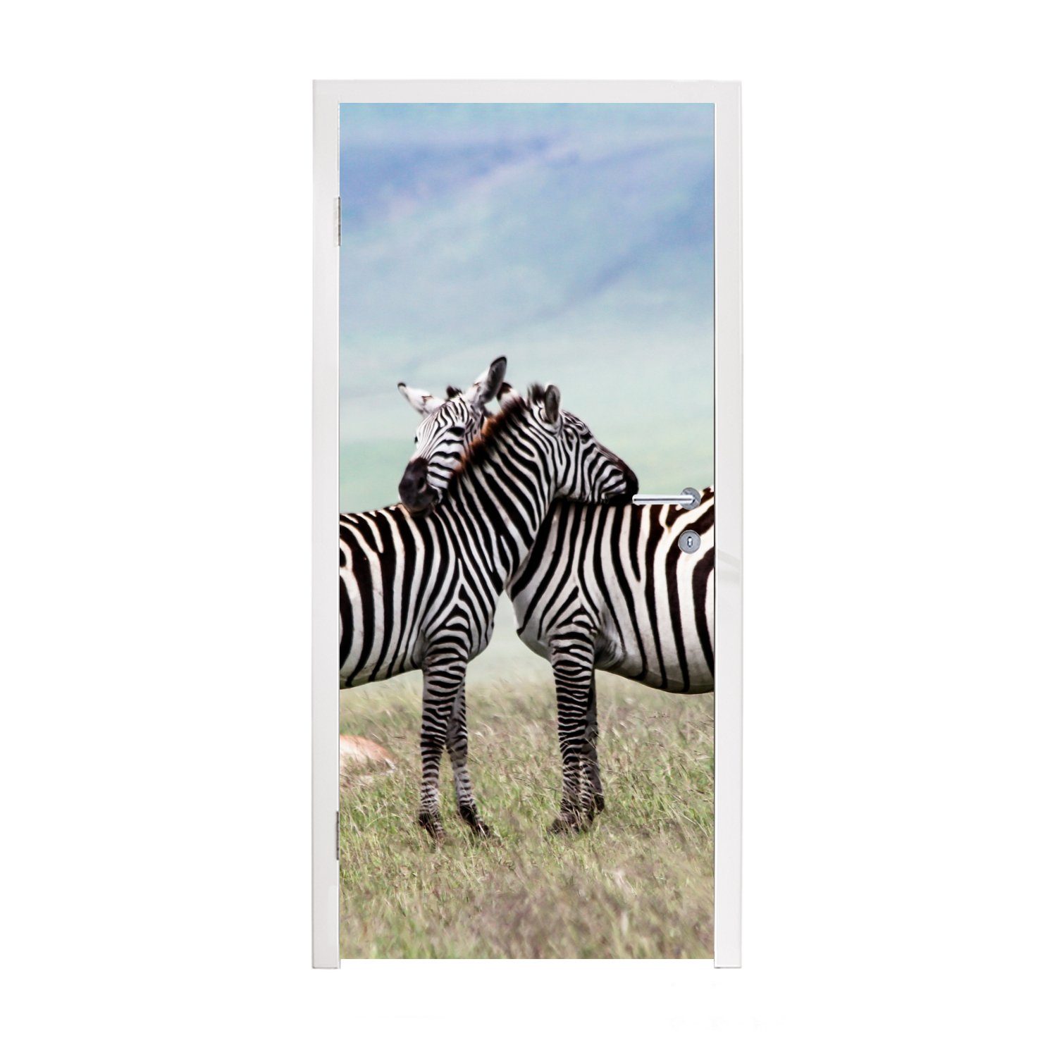 MuchoWow Türtapete Zebras - Gras - Schwarz - Weiß, Matt, bedruckt, (1 St), Fototapete für Tür, Türaufkleber, 75x205 cm