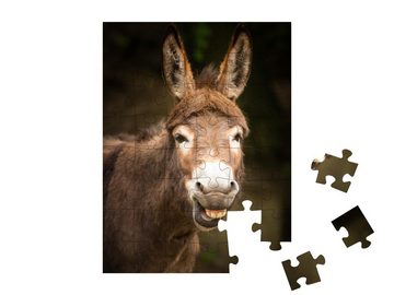 puzzleYOU Puzzle Lustig: lächelnder Esel, 48 Puzzleteile, puzzleYOU-Kollektionen Esel, Bauernhof-Tiere