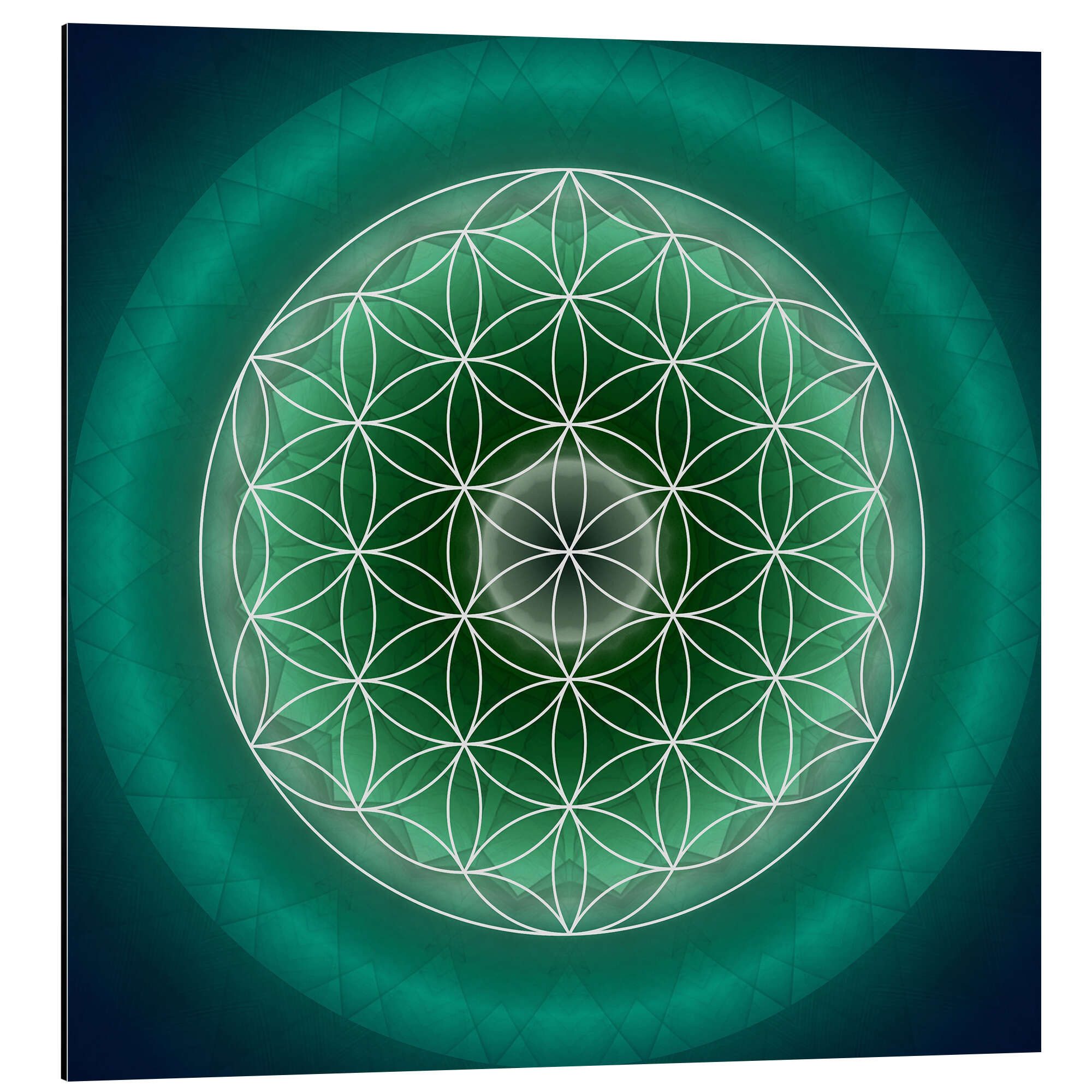 Posterlounge Wandbild Blume des Lebens 11, günstig online kaufen