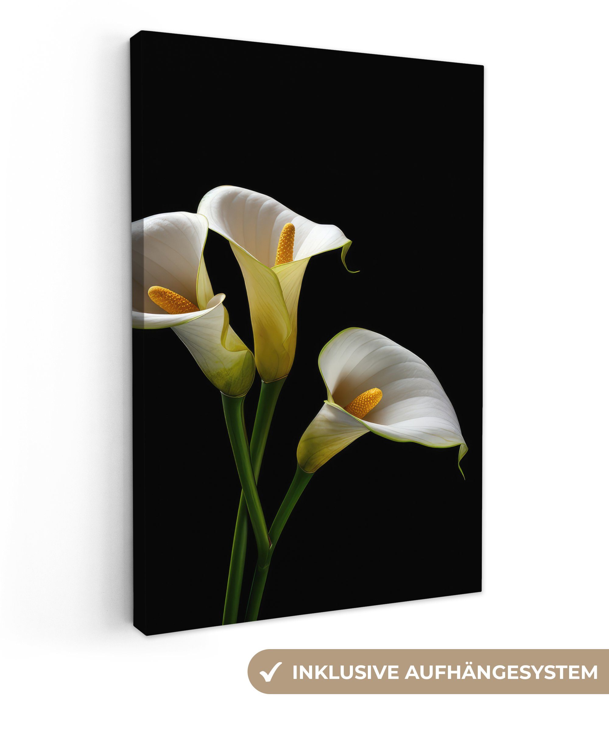 OneMillionCanvasses® Leinwandbild Pflanzen - Blumen - Weiß - Natur - Botanisch, (1 St), Leinwandbild fertig bespannt inkl. Zackenaufhänger, Gemälde, 20x30 cm