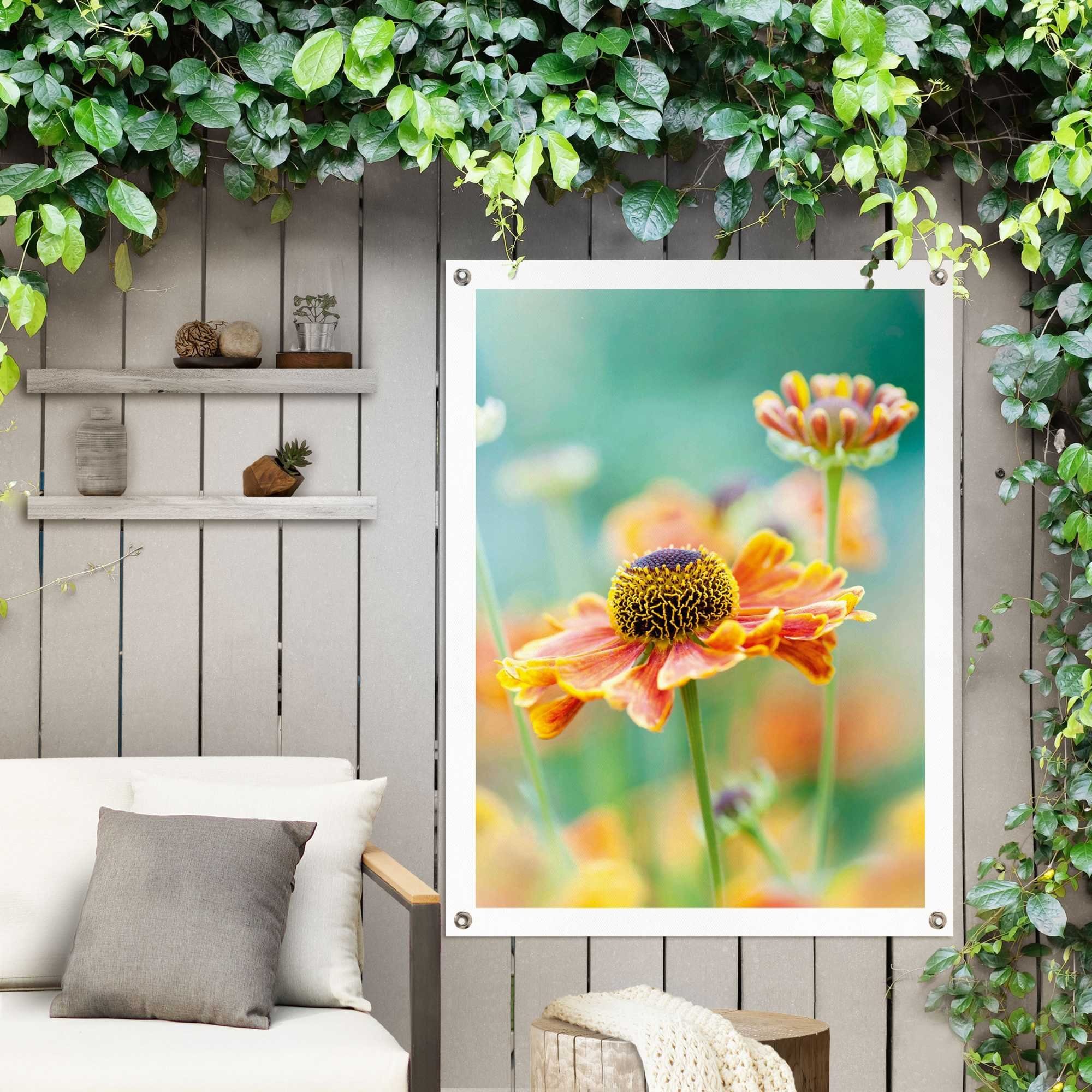 Reinders! Poster Blume, Outdoor für Garten oder Balkon | Poster