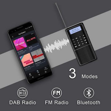 Radioddity Raddy RD23 Tragbares DAB Radio Klein DAB+ UKW Digitalradio mit Akku Radio