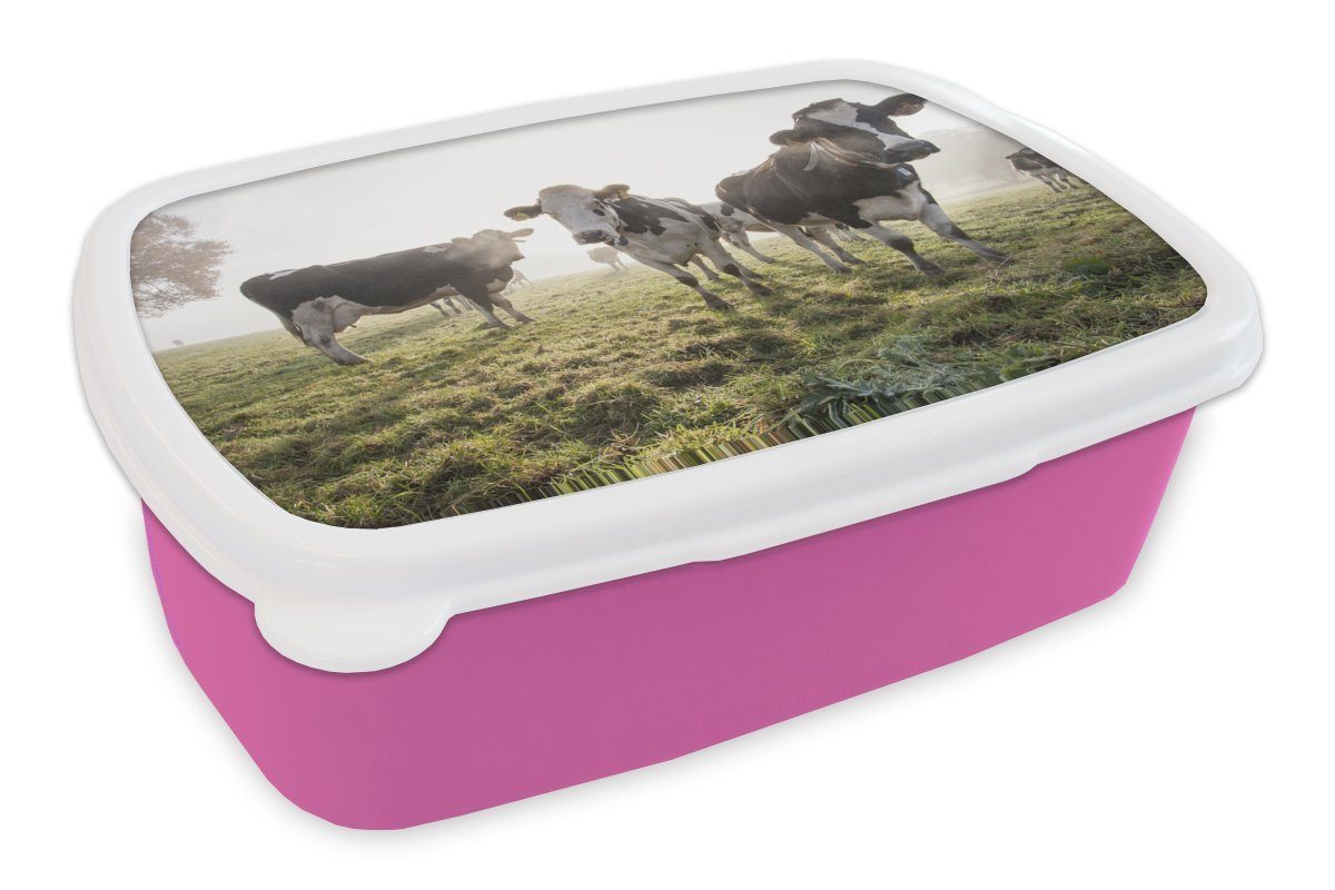Snackbox, Mädchen, (2-tlg), Brotbox MuchoWow Lunchbox Brotdose - Kunststoff, Kunststoff für rosa Gras Kinder, Nebel, Kuh - Erwachsene,