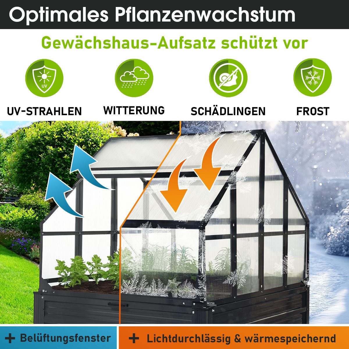 BRAST Hochbeet 2in1 mit Alu Gewächshaus-Aufsatz, 2 Größen zur Auswahl (120x80x167cm, Integriertes Drainage-System, 4mm Hohlkammerplatten, 2 Pflanzwannen), Pflan – Bild 4 von 5