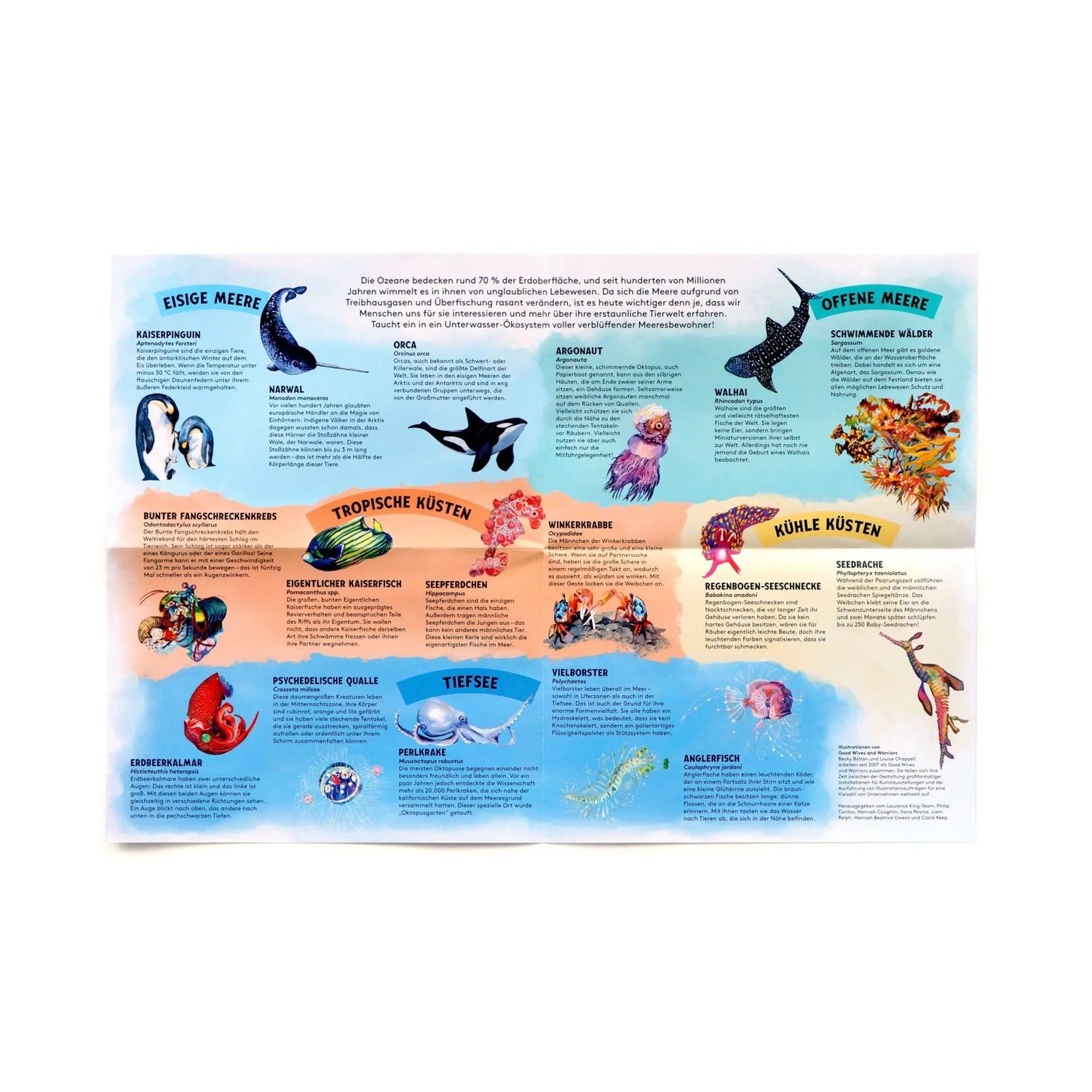 Laurence King Puzzle Abenteuer Ozean, 180 Puzzleteile