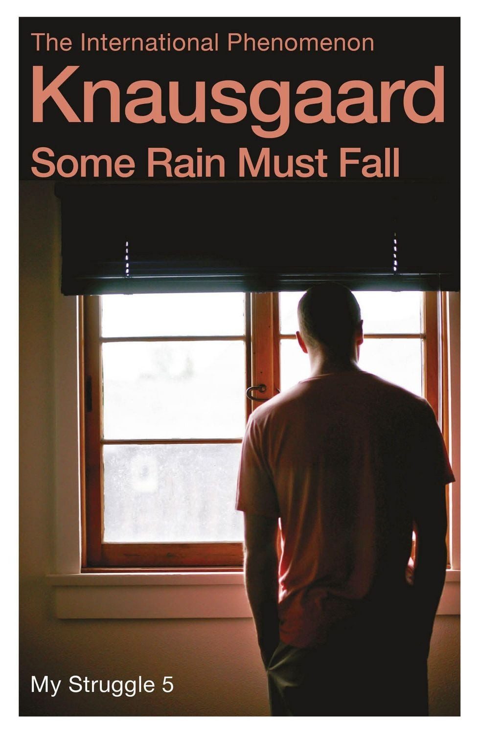 Some Rain Must Fall / Karl Ove Knausgard