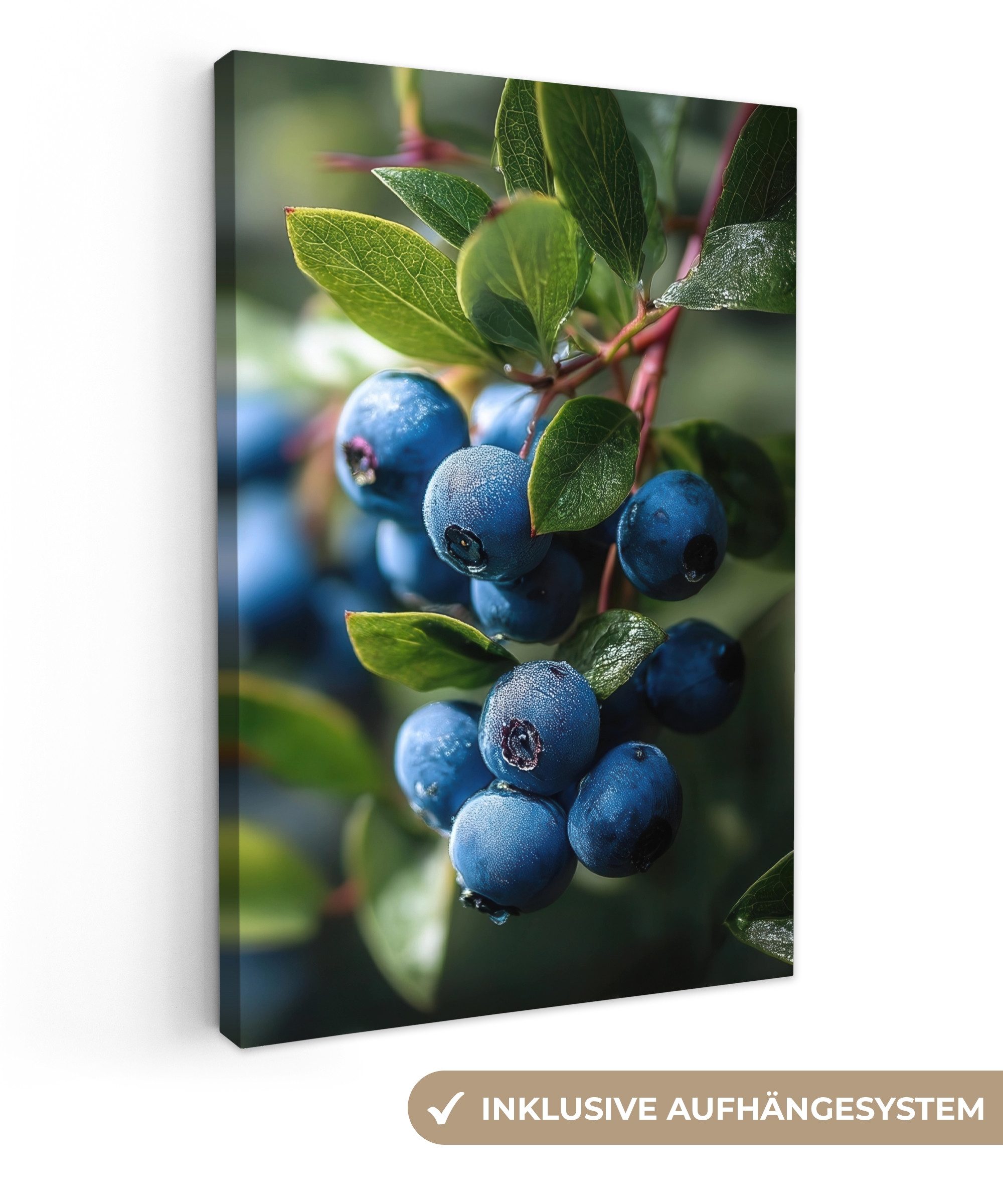 OneMillionCanvasses® Leinwandbild Blaubeeren - Tautropfen - Natürliches Licht, Fotodruck (1 St), Leinwand Canvas Wandbild, Wanddekoration 20x30 cm